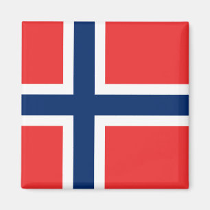 Flagga för norge magnet