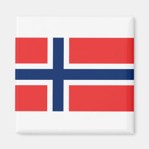 Flagga för norge magnet