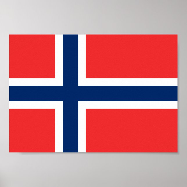 Flagga för norge poster (Framsidan)