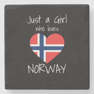Flagga för norge stenunderlägg