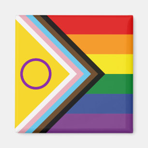 Flagga för Pridet för utveckling av mångfald och i Magnet