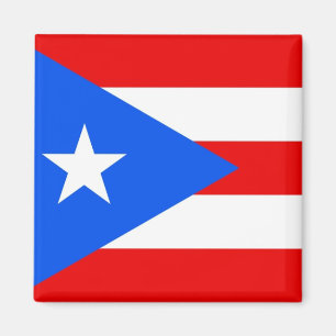 Flagga för Puerto Rico medborgarevärld Magnet