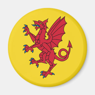 Flagga för Somerset Magnet