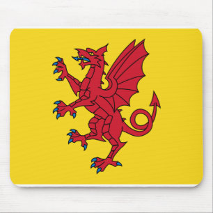 Flagga för Somerset  Musmatta