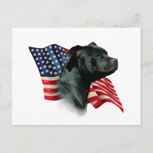 Flagga för Stafford Dshire Bull Terrier Vykort