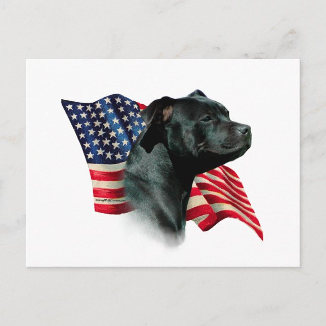 Flagga för Stafford Dshire Bull Terrier Vykort (Framsida)