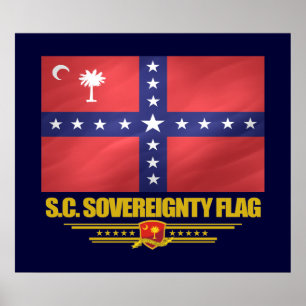 FLAGGA för suveränitet Poster
