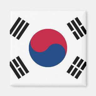 Flagga för Sydkorea medborgarevärld Magnet