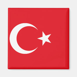 Flagga för Turkiet medborgarevärld Magnet