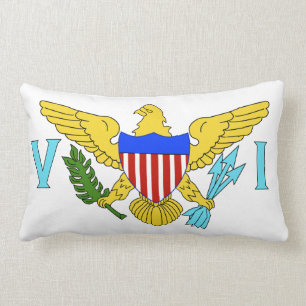 Flagga för US Virgin Islands Lumbarkudde