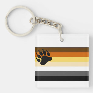 Flagga för växellåda, Pride