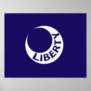 Flagga Fort Moultrie, South Carolina Poster