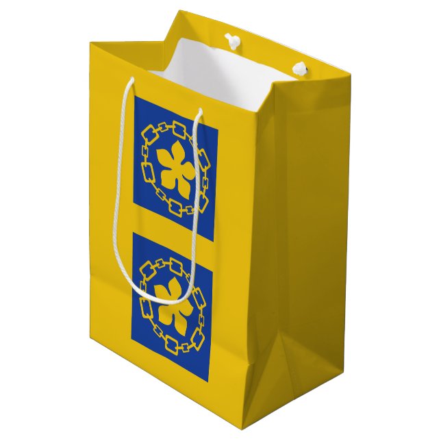 Flagga Hamilton, Ontario Medium Gift Bag (Framsidan Vinklad)