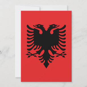Flagga i Albanien