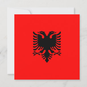 Flagga i Albanien Kort