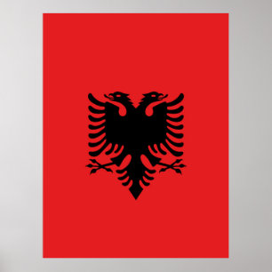 Flagga i Albanien Poster