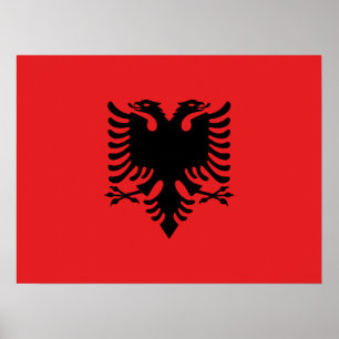 Flagga i Albanien Poster
