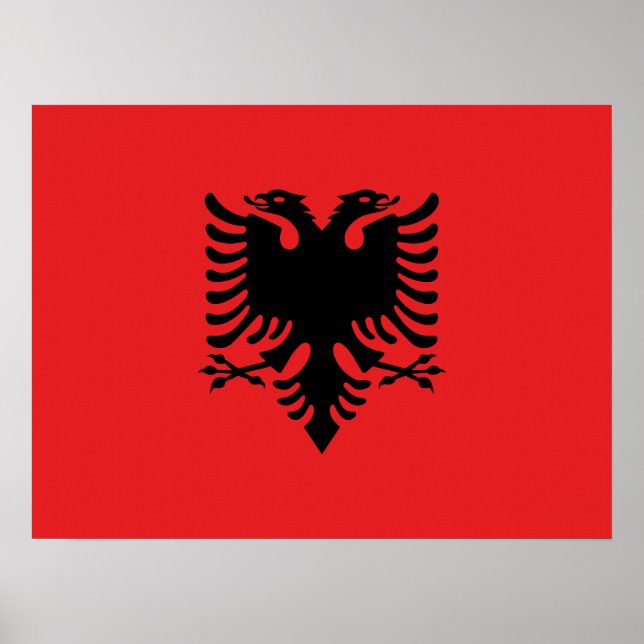 Flagga i Albanien Poster (Framsidan)
