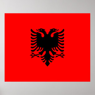 Flagga i Albanien Poster