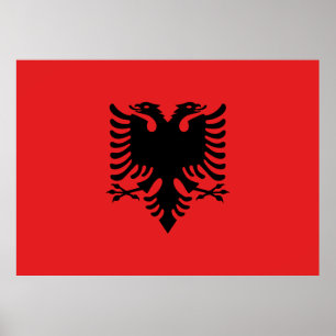 Flagga i Albanien Poster