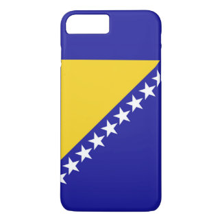 Flagga i Bosnien och Hercegovina