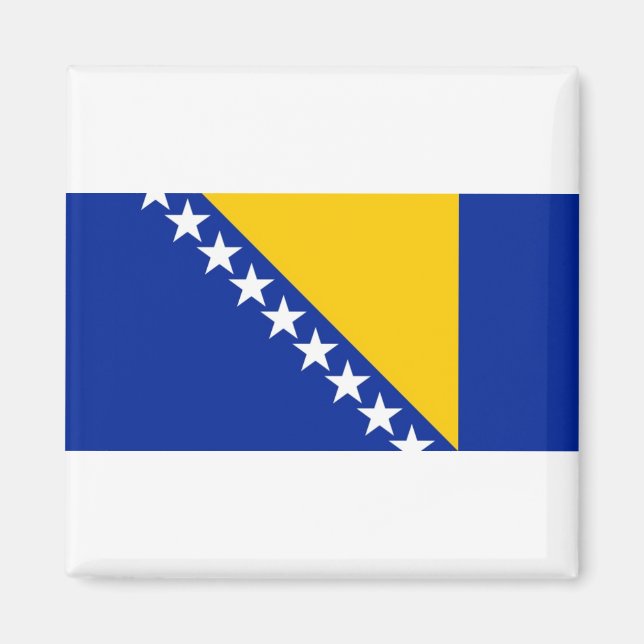 Flagga i Bosnien och Hercegovina Magnet (Framsidan)