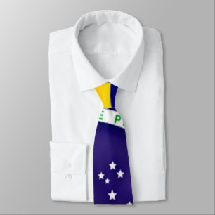 Flagga i Brasilien Slips