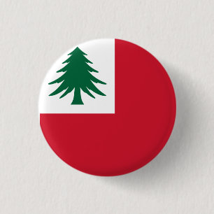 Flagga i New England (endast gräs) - inofficiell Knapp