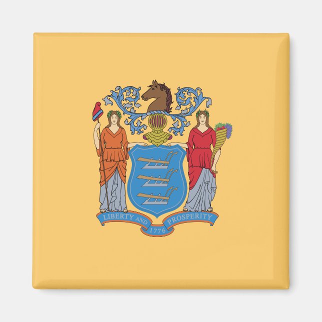 FLAGGA i NEW JERSEY Magnet (Framsidan)
