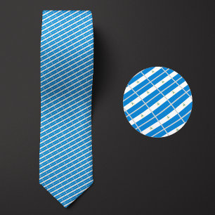 Flagga i Nicaragua Mönster Slips