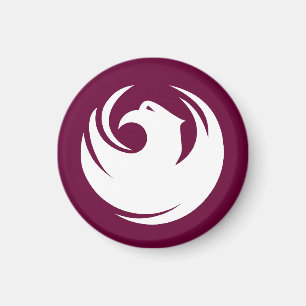 Flagga i Phoenix stad Arizona Magnet