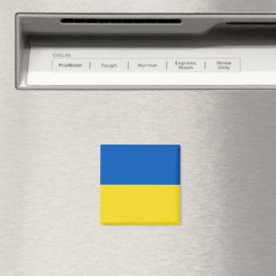 Flagga i Ukraina Magnet