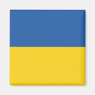 Flagga i Ukraina Magnet