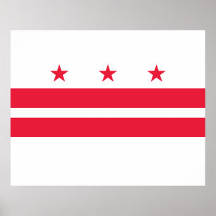 Flagga i Washington D.C. (Columbia District) Poster