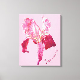 Flagga Iris Red and rosa hued boxed canvas