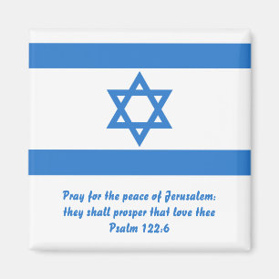 Flagga Israel Magnet