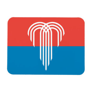 Flagga Kansas City (Missouri) Magnet