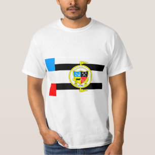 Flagga Knoxville, Tennessee T Shirt