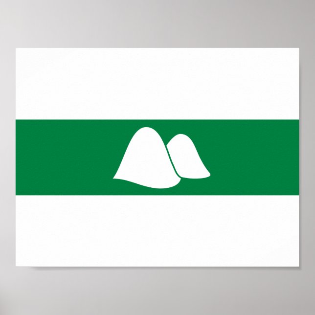 Flagga Kurgan oblast Poster (Framsidan)