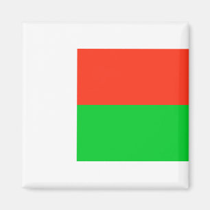 Flagga Madagaskar Magnet