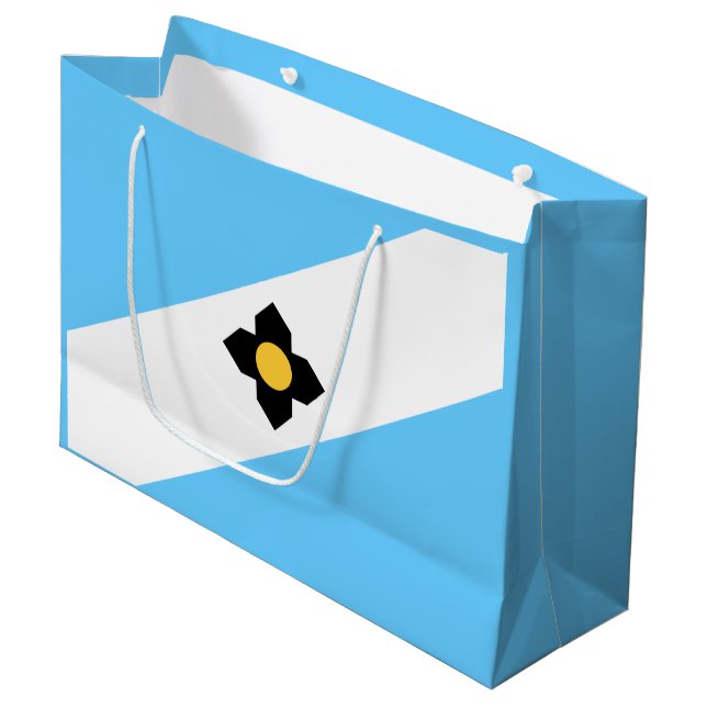 Flagga Madison, Wisconsin Large Gift Bag (Framsidan Vinklad)
