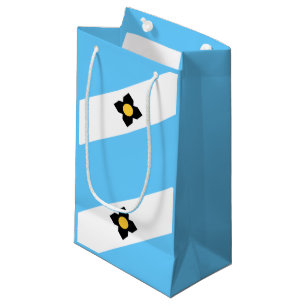 Flagga Madison, Wisconsin Small Gift Bag