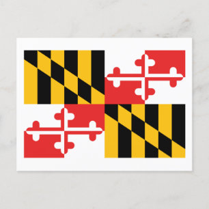 Flagga Maryland Vykort