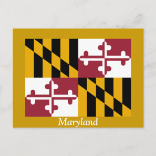 Flagga Maryland Vykort