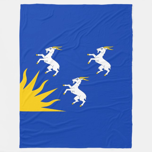 Flagga Merionethshire Fleece Blanket (Framsidan)