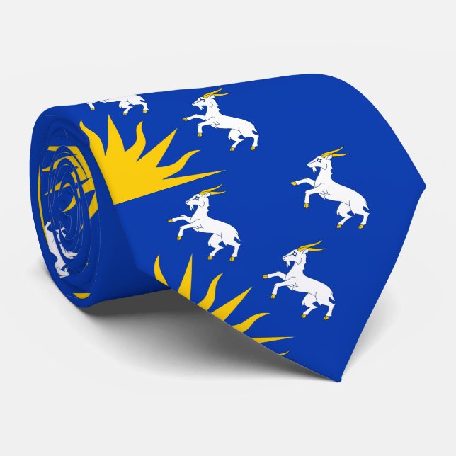 Flagga Merionethshire Neck Tie Slips (Rullad)