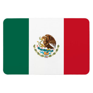 Flagga Mexiko Magnet