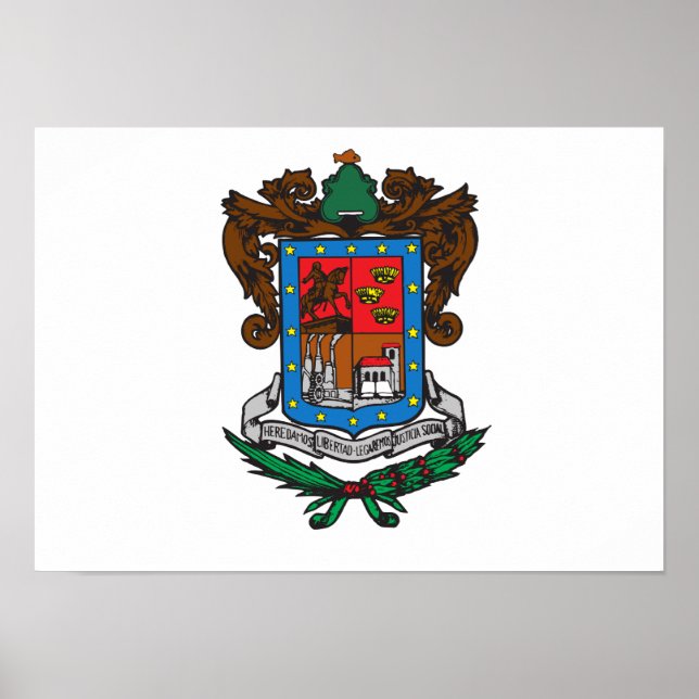 Flagga Michoacan Poster (Framsidan)