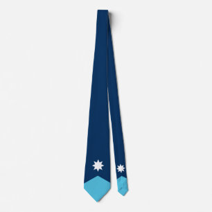 Flagga Minnesota Slips