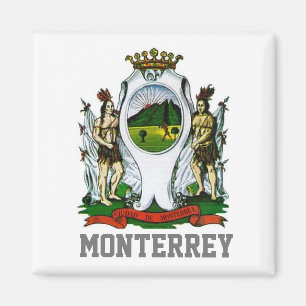 Flagga Monterrey, Nuevo León - MEXICO Magnet